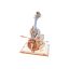 Gyönyörű álmok szimfóniája music box 3D Puzzle